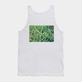 Kula Botanical Gardens Study 12 Tank Top